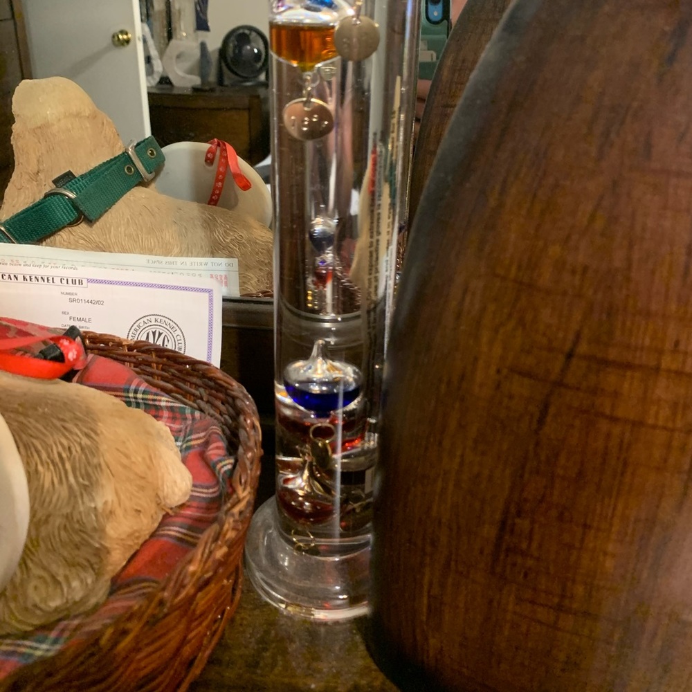 Pier 1 Mercury Thermometer